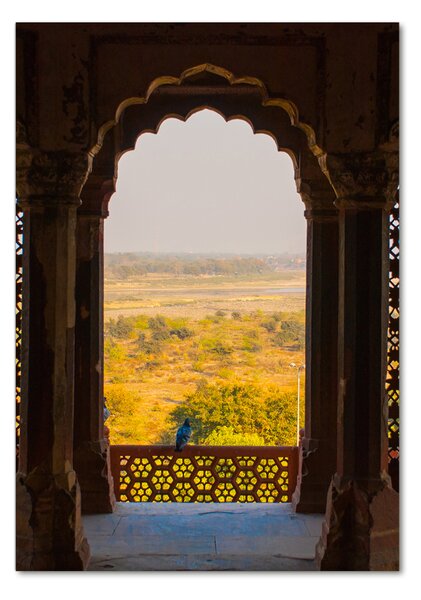 Tablou acrilic Agra Fort, India