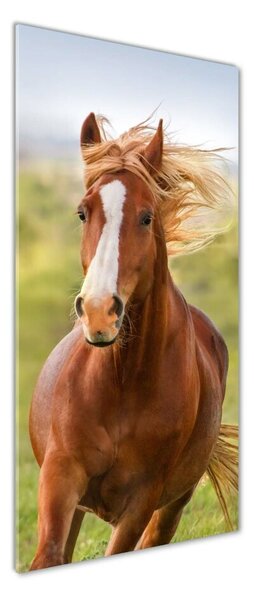 Imagine de sticlă Un cal în galop
