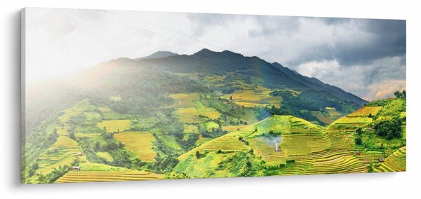 Tablou plantație (120x50 cm)