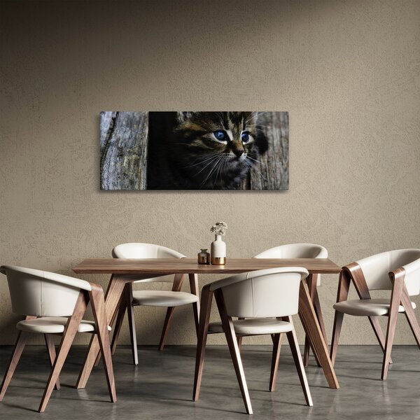 Tablou cu pisicuța (120x50 cm)