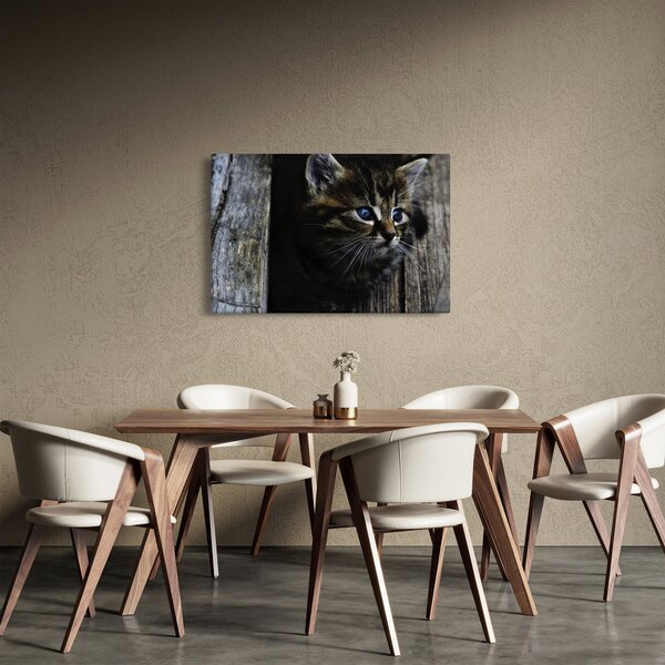 Tablou cu pisicuța (90x60 cm)