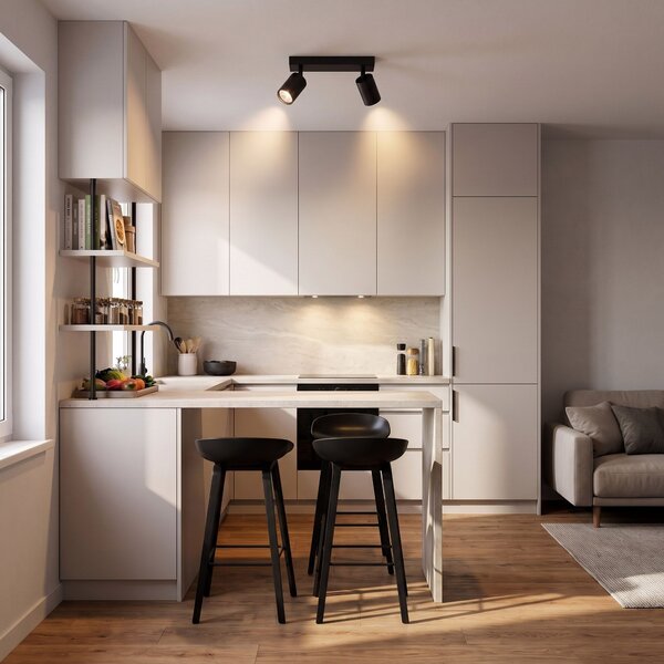 Lampă suspendată JNH029-2C BLACK