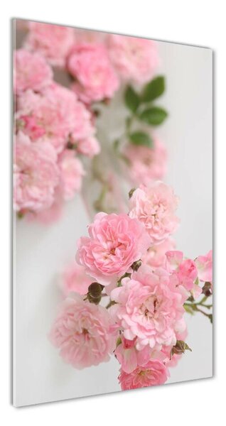 Imagine de sticlă Trandafir salbatic