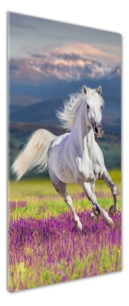 Imagine de sticlă cal alb în galop