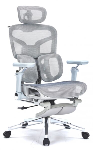 Scaun ergonomic premium DeluxStar T9 – cotiere 6D ultra moi, suport lombar adaptiv, spătar reglabil pe inaltime, tetiera 4D, mecanism multifunctional inclinare/blocare, pivotant, Mesh, Gri