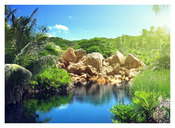 Tablou cu lac în jungla din Seychelles (70x50 cm)