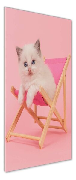 Tablou sticlă Cat pe un șezlong