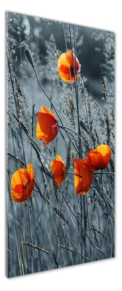 Imagine de sticlă wildflowers maci