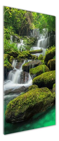 Imagine de sticlă Cascada din junglă