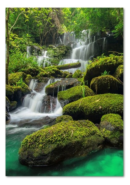 Imagine de sticlă Cascada din junglă