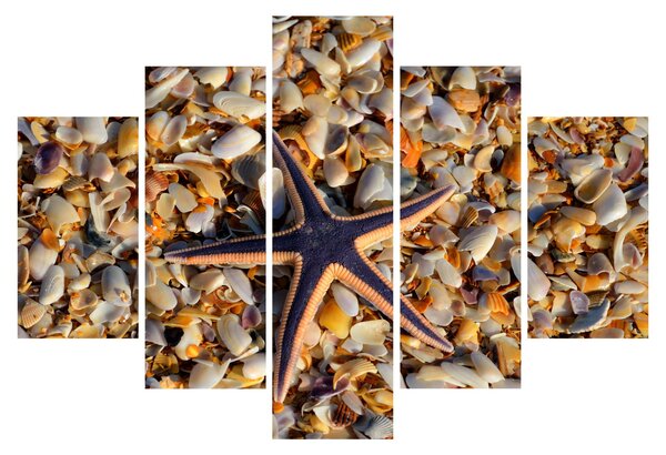 Tablou cu stea de mare (150x105 cm)