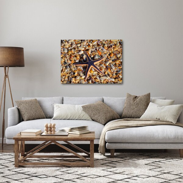Tablou cu stea de mare (70x50 cm)