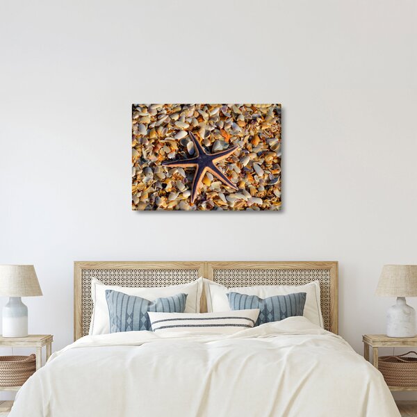 Tablou cu stea de mare (70x50 cm)