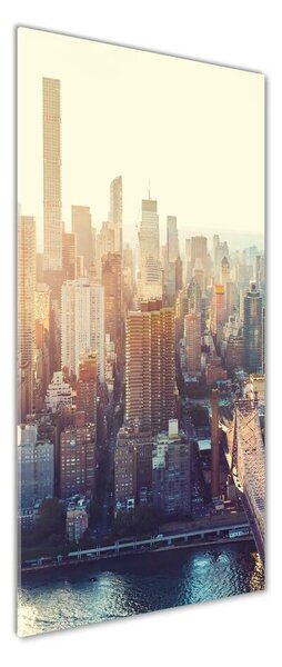 Tablou Printat Pe Sticlă New York pasăre de zbor