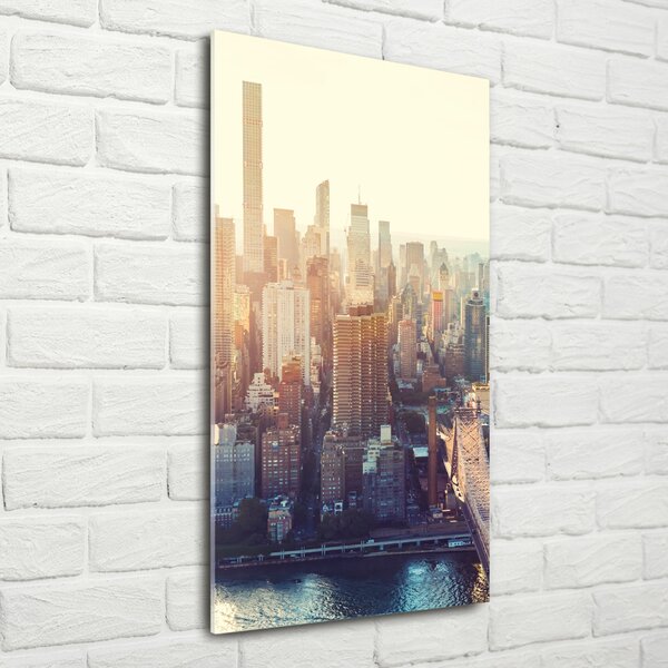 Tablou Printat Pe Sticlă New York pasăre de zbor