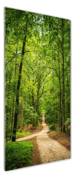 Fotografie imprimată pe sticlă Calea în pădure
