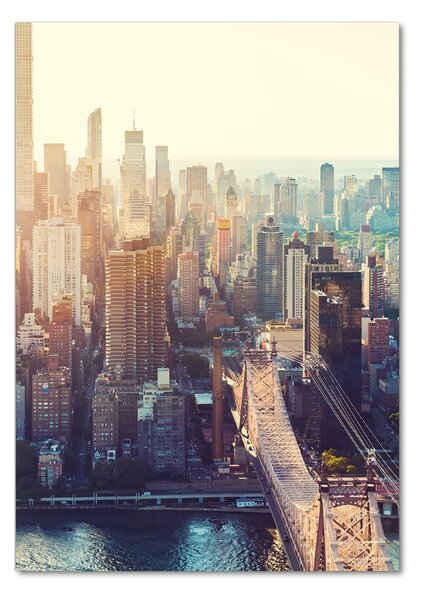 Tablou Printat Pe Sticlă New York pasăre de zbor