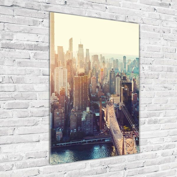 Tablou Printat Pe Sticlă New York pasăre de zbor