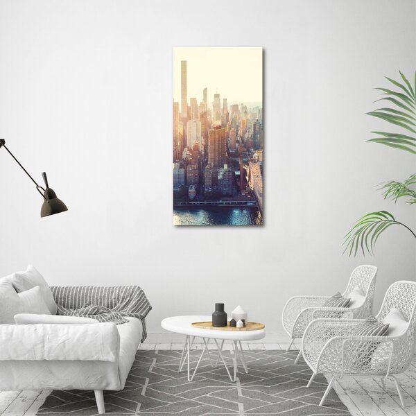Tablou Printat Pe Sticlă New York pasăre de zbor