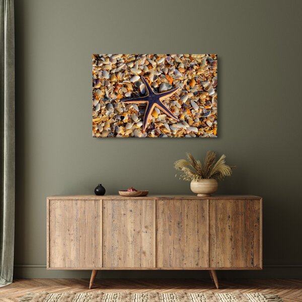 Tablou cu stea de mare (90x60 cm)