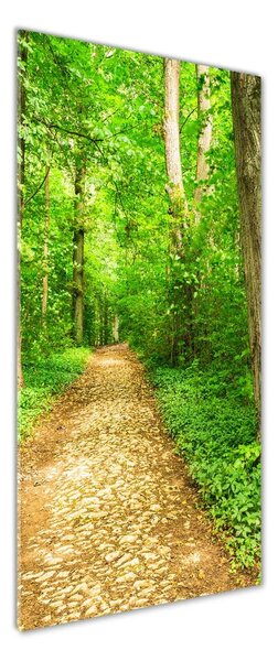 Fotografie imprimată pe sticlă Calea în pădure