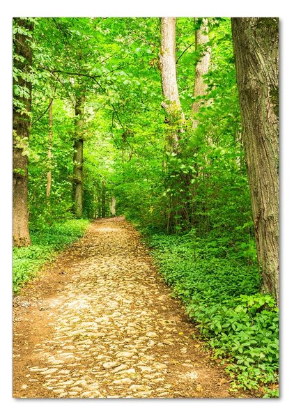 Fotografie imprimată pe sticlă Calea în pădure