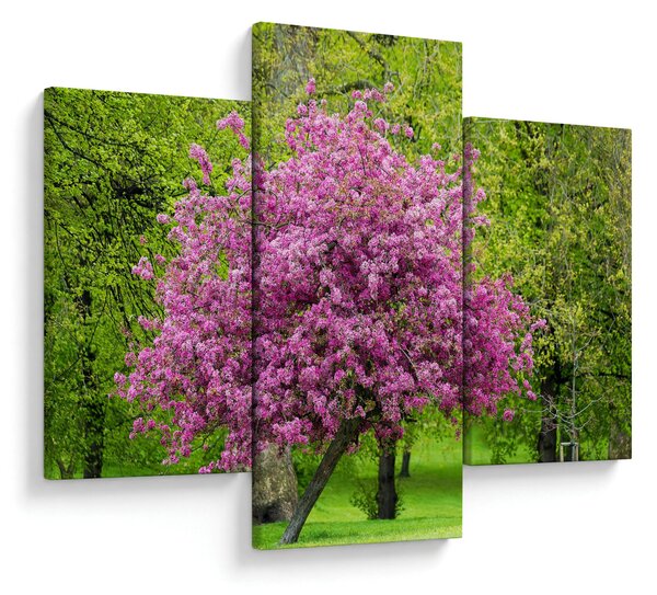 Tablou cu pom înflorit pe luncă (90x60 cm)