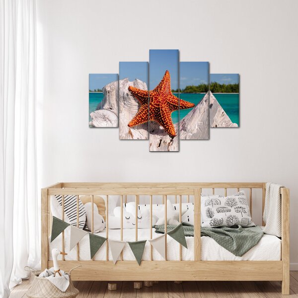Tablou cu stea de mare (150x105 cm)