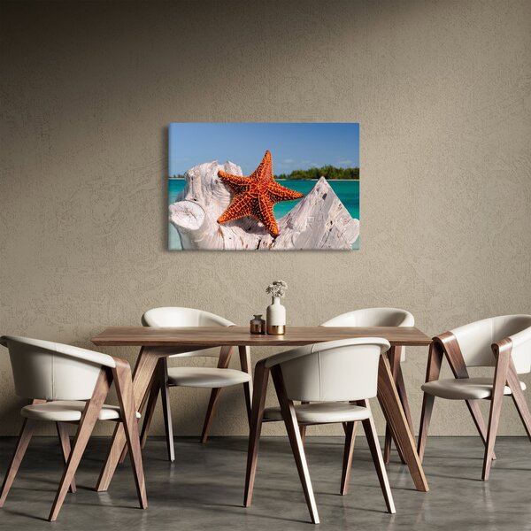 Tablou cu stea de mare (90x60 cm)