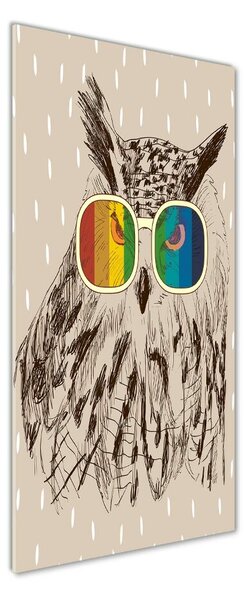 Tablou din Sticlă Owls ochelari