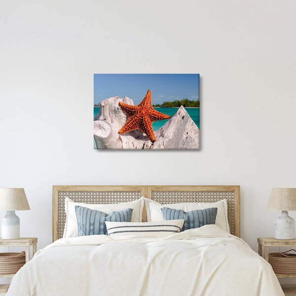 Tablou cu stea de mare (70x50 cm)