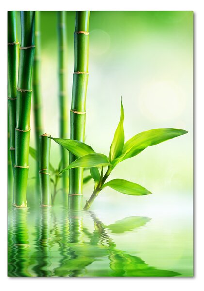 Fotografie imprimată pe sticlă Bamboo în apă