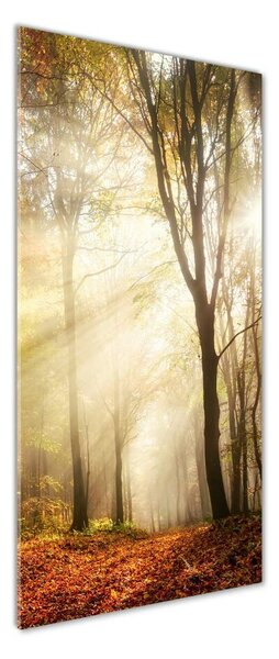 Fotografie imprimată pe sticlă pădure în toamna