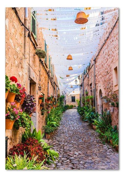 Tablou pe pe sticlă Majorca Spania