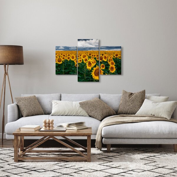 Tablou câmpului de floarea soarelui (90x60 cm)