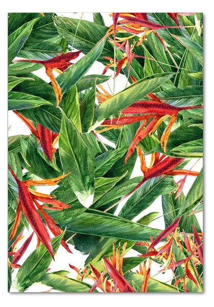 Tablou Printat Pe Sticlă Strelitzia reginae