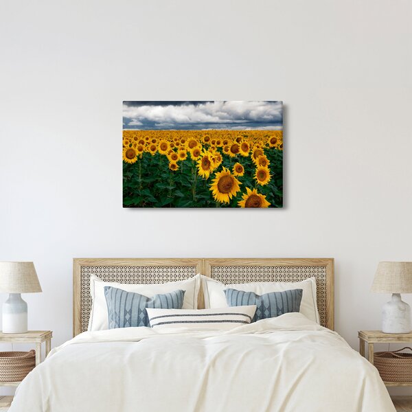 Tablou câmpului de floarea soarelui (90x60 cm)