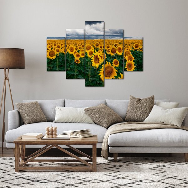 Tablou câmpului de floarea soarelui (150x105 cm)