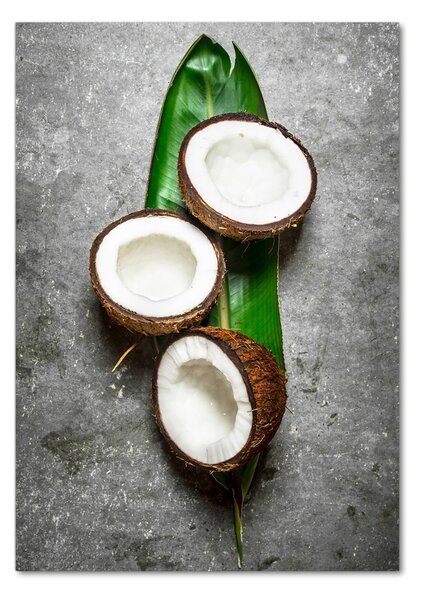 Tablou pe pe sticlă Pe frunze de nucă de cocos