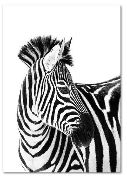 Tablou din Sticlă Zebra în zăpadă