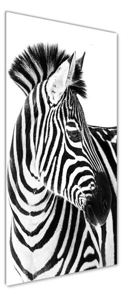 Tablou din Sticlă Zebra în zăpadă