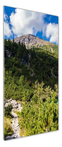 Fotografie imprimată pe sticlă Marine ochi Tatry