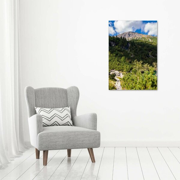 Tablou pe pânză canvas Marine ochi Tatry