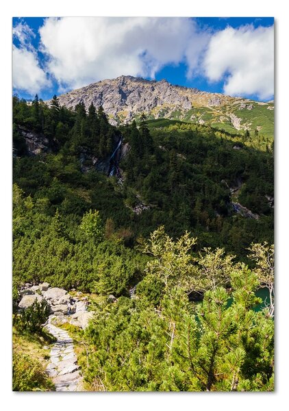 Fotografie imprimată pe sticlă Marine ochi Tatry