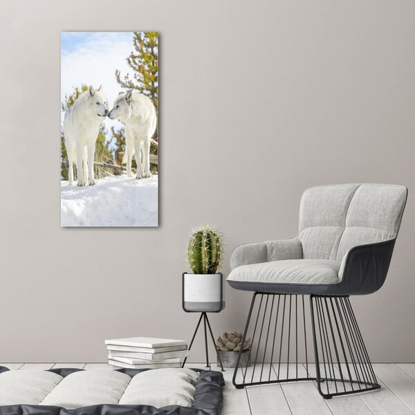 Imprimare tablou canvas Doi lupi albi