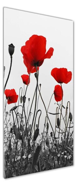 Tablou din Sticlă wildflowers maci