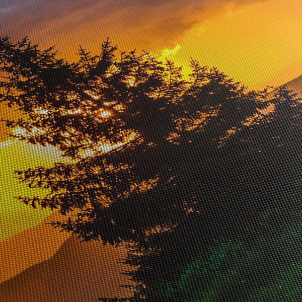 Tablou - coniferi (90x60 cm)