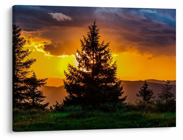 Tablou - coniferi (70x50 cm)