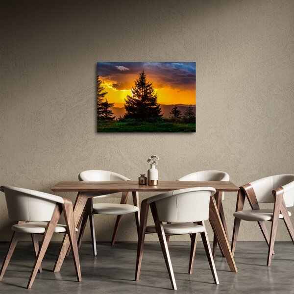 Tablou - coniferi (70x50 cm)