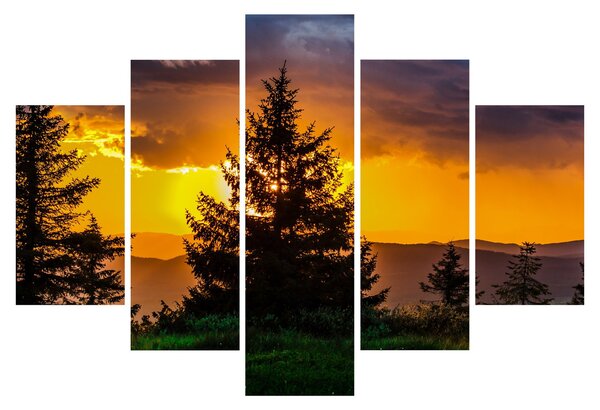 Tablou - coniferi (150x105 cm)